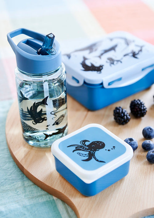 Petit Monkey drum set Sea animals 12 x 12 cm