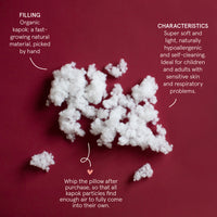 Play at Sleep pillow moon small latte