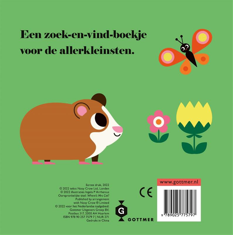 cat, where are you? 18 months +