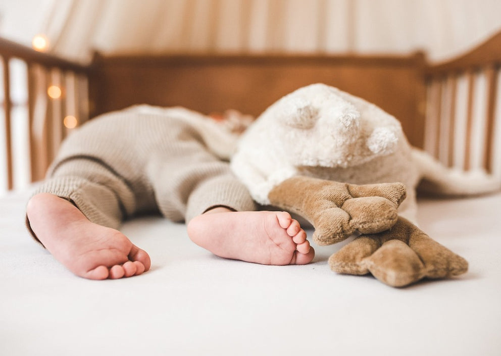 Senger Naturwelt heat cuddly goose white large 2 months+