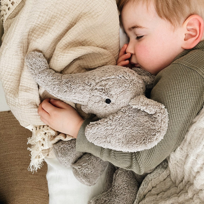 Senger Naturwelt heat cuddly toy elephant small 2 months +