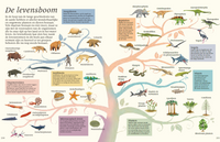 The thick book of all special dinosaurs 7 years +