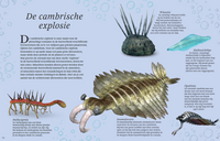 The thick book of all special dinosaurs 7 years +