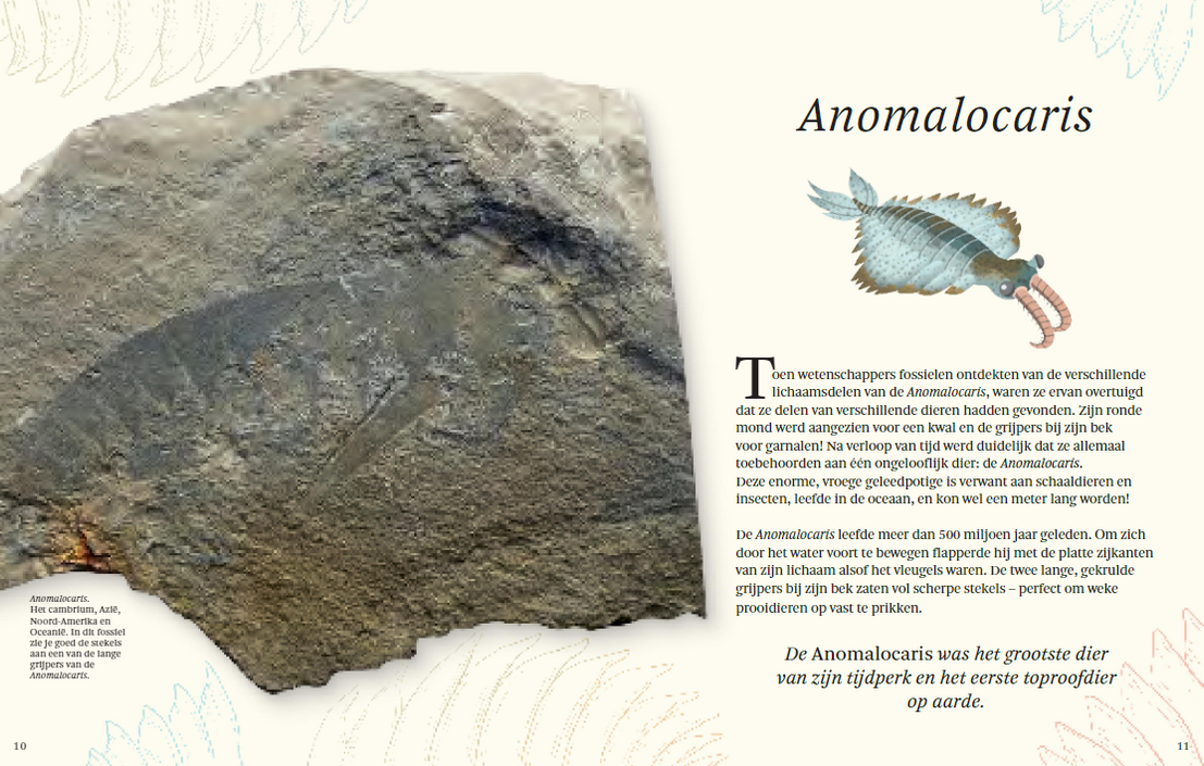 The thick book of all special dinosaurs 7 years +