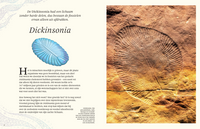 The thick book of all special dinosaurs 7 years +