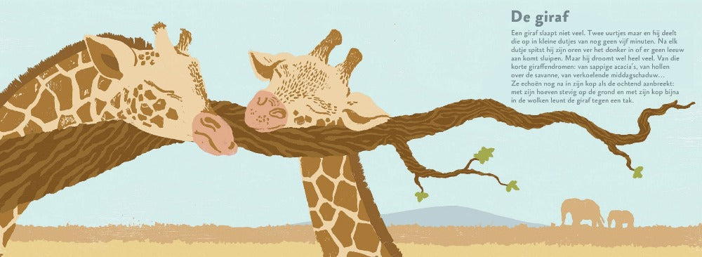 This is how animals sleep for 4 yrs+