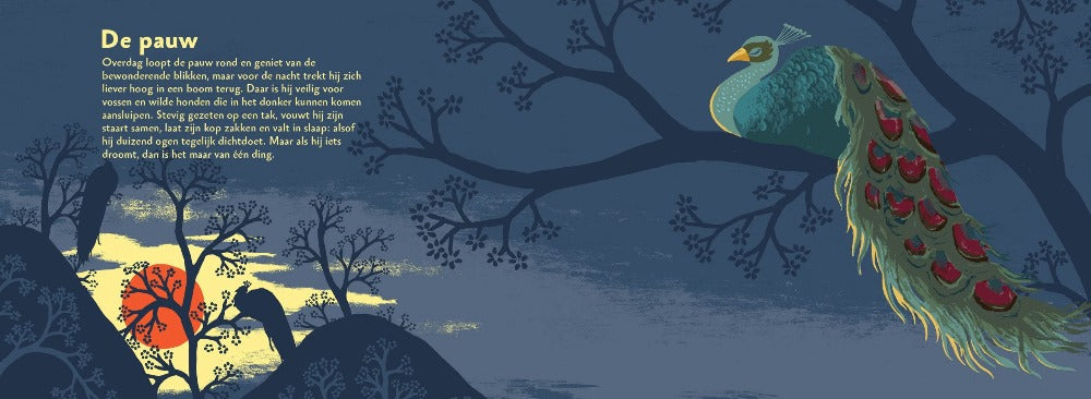 This is how animals sleep for 4 yrs+