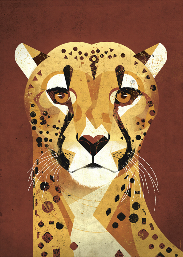 Buy Dieter Braun poster Cheetah brown 50 x 70 cm