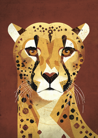 Dieter Braun poster Cheetah brown 50 x 70 cm