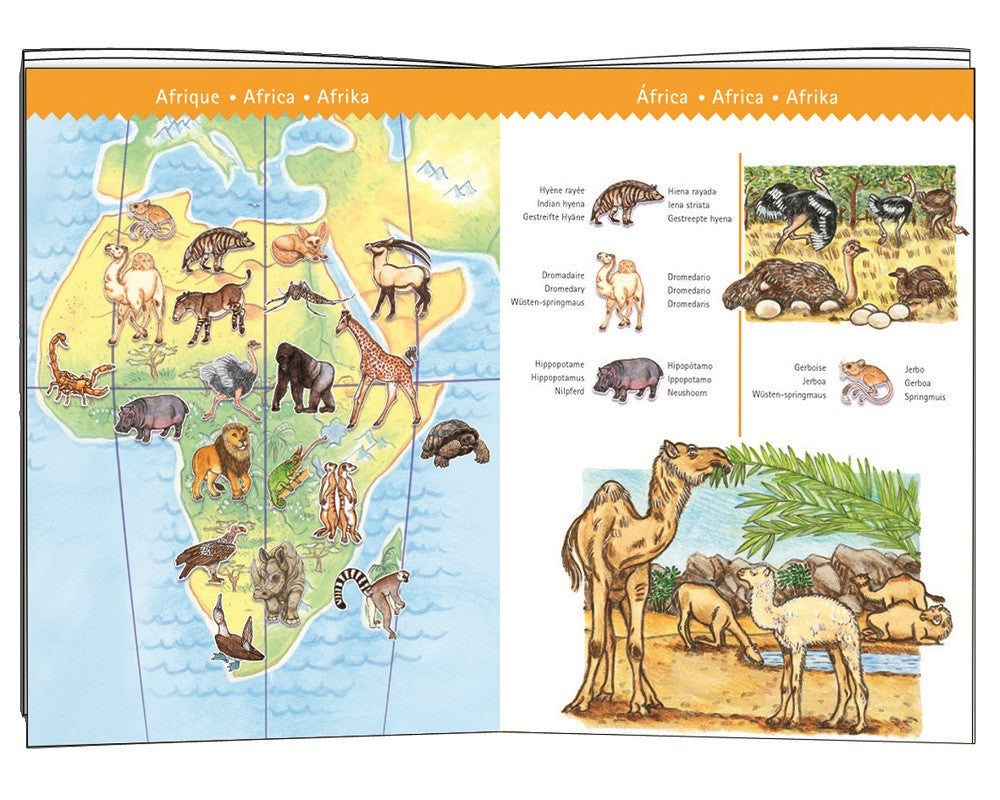 DJECO observation puzzle animals 5 yrs+/ 100 pcs