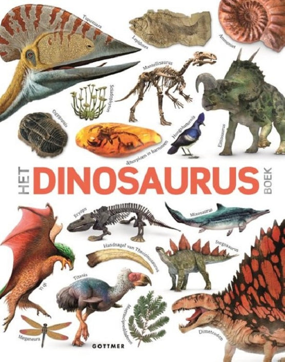 The dinosaur book 8 yrs +