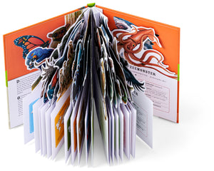 The fantastically beautiful animal kingdom 8 yrs +