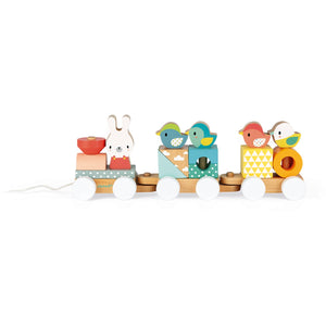 JANOD train pure 1 yr+