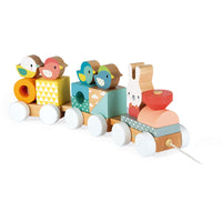 JANOD train pure 1 yr+