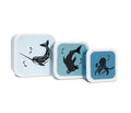 Petit Monkey drum set Sea animals 12 x 12 cm