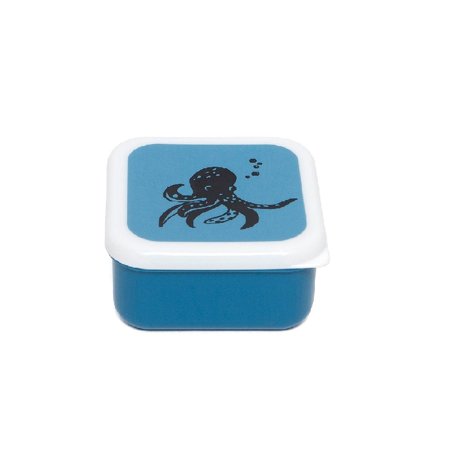 Petit Monkey drum set Sea animals 12 x 12 cm LB21-R