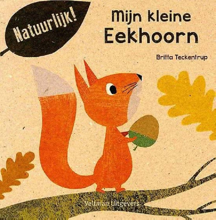 My little squirrel 18 months+