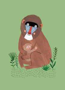 Petit Monkey postcard Mandrill and cub