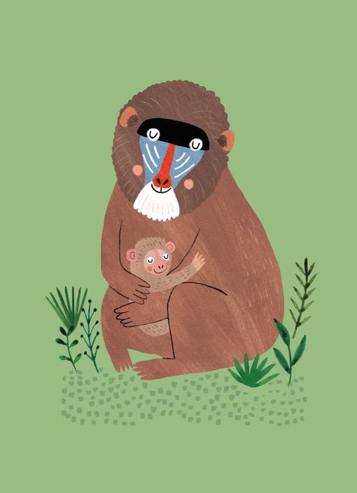 Petit Monkey postcard Mandrill and cub