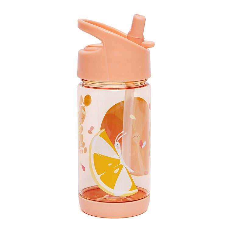 Petit Monkey drinking bottle Flies