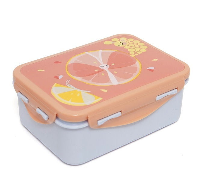 Petit Monkey lunch box Flies