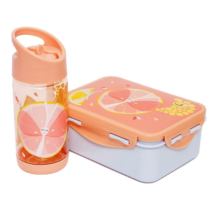 Buy Petit Monkey lunch box Flies