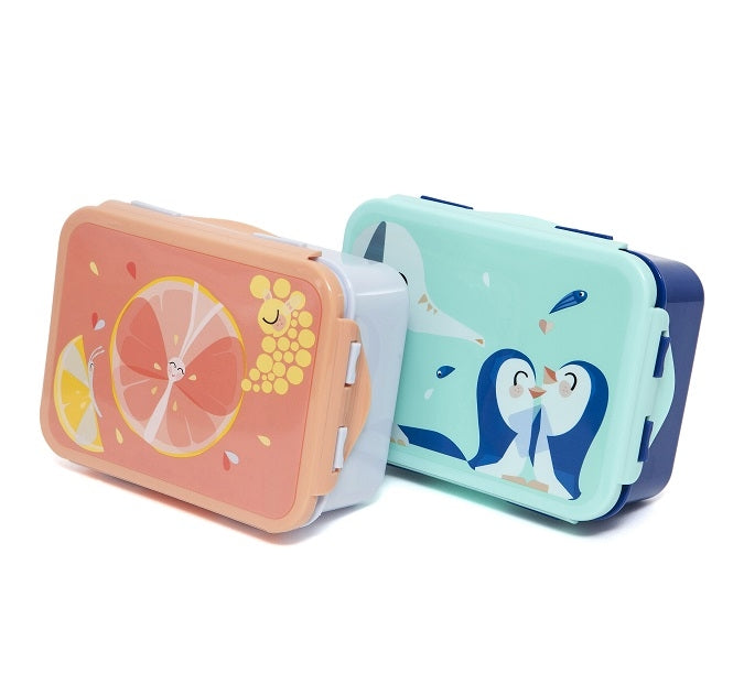 Petit Monkey lunch box Flies 8719244224180