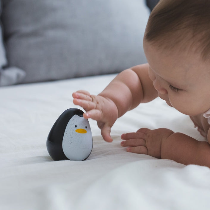 Plan Toys tumbler penguin 6 m+