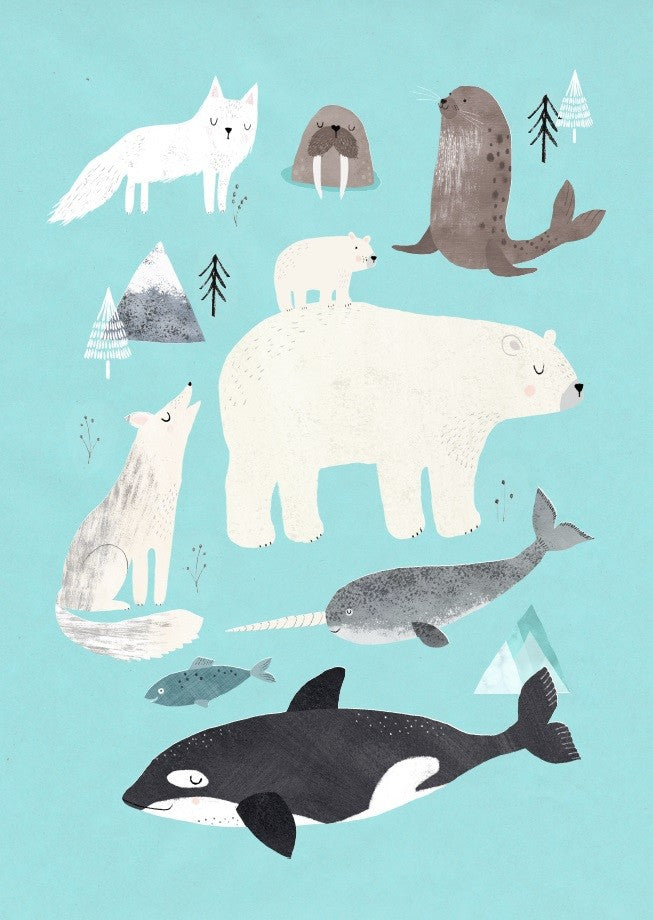 Petit Monkey postcard Arctic animals