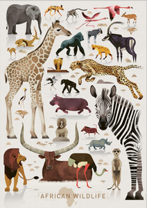 Dieter Braun poster African Wildlife 50 x 70 cm