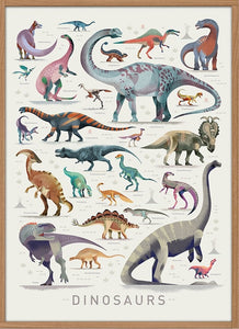 Dieter Braun poster Dinosaur 50 x 70 cm