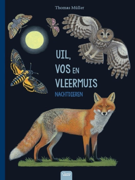 Owl, fox and bat - nocturnal animals 5 yrs+